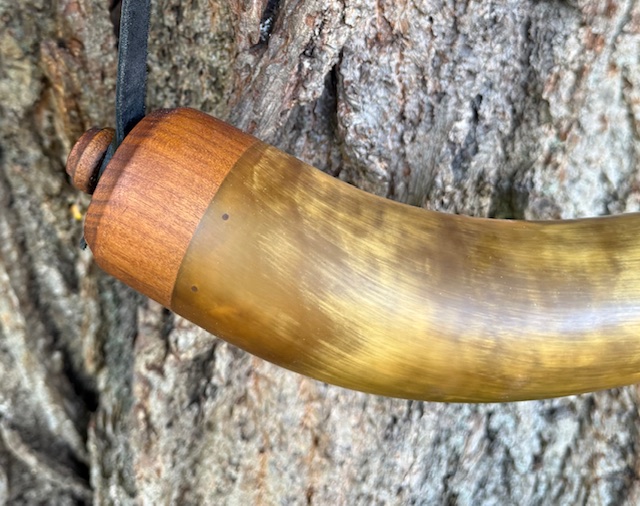 02-07 F&I or Revolutionary War Horn