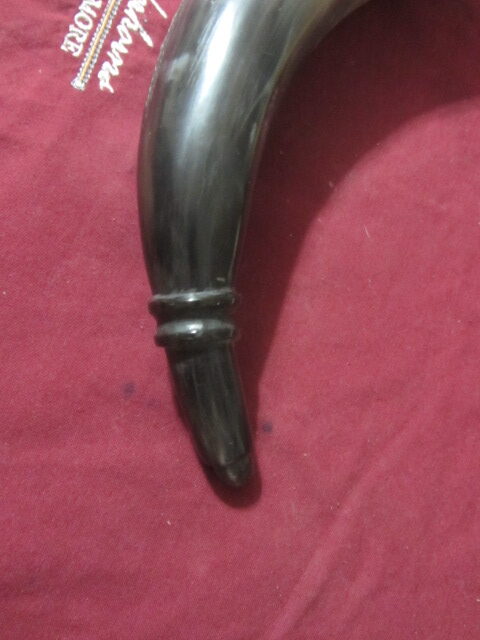 Common Horn