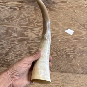Drinking Horns